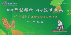 天津市和平区四平东道小学首家巨型稻金穗园插